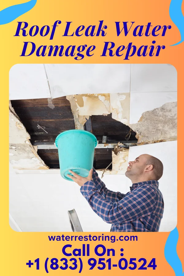 Roof Leak Water Damage Repair in Magnetic Springs, OH