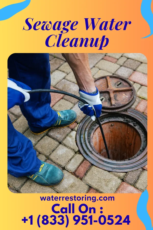 Sewage Water Cleanup in Magnetic Springs, OH